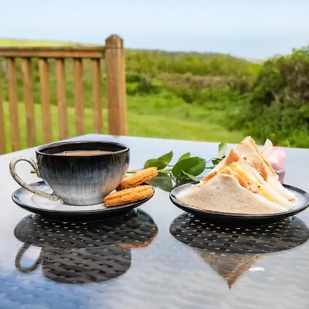 Treworgie Barton - Braddon Holiday home Bude